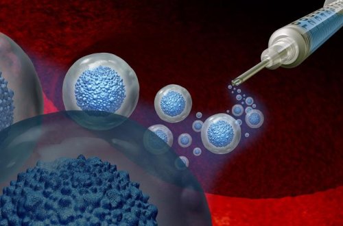 Yaşlanan hüceyrələr cavanlaşa bilər