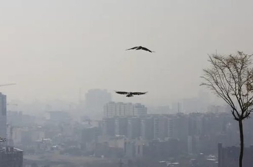 İranda havanın çirklənməsini azaltmaq üçün yeni tədbirlər görülür: Tehran pilot region olacaq