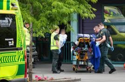 Yeni Zelandiyada bədbəxt hadisə: Uşaqlar bağçada kimyəvi yanıqlar alıblar