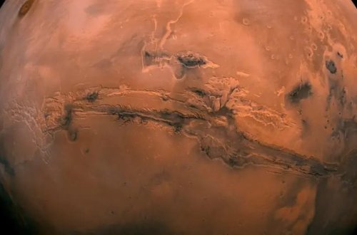 Ölü rolu oynayan mikroblar Marsa göndərilmiş ola bilər