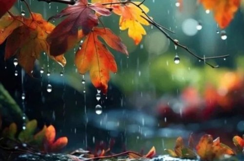 Yağıntılı hava dekabrın 11-dək davam edəcək