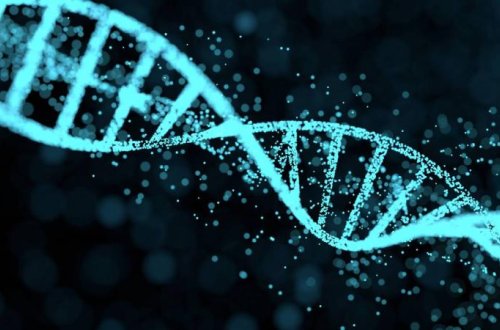 Araşdırma: Kişi cinsiyyətini təyin edən Y xromosomu yoxa çıxır
