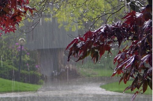 Sabah Bakı və Abşeronda leysan yağacaq