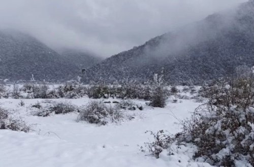 Azərbaycanın bəzi ərazilərinə qar yağır - FAKTİKİ HAVA