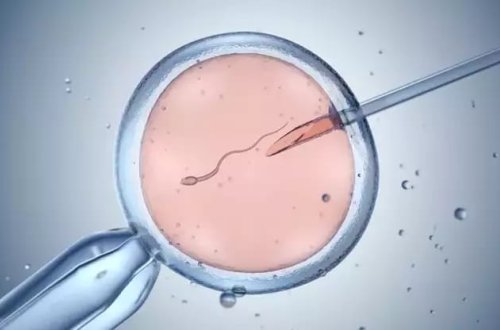 Avropada xərçəng riski geni daşıyan donordan doğulan 200-ə yaxın uşaq var