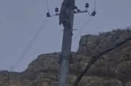 Kəlbəcərdə dağkeçilərinin tələf olmasının səbəbi bilindi