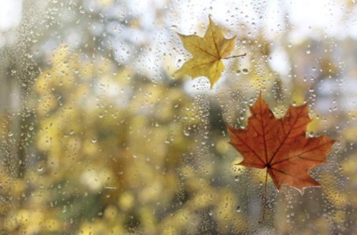 Bu ərazilərə yağış yağıb