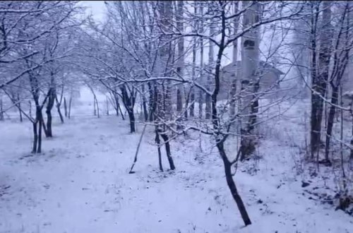 Naxçıvana 25 sm qar yağıb