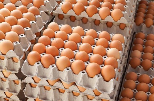 Azərbaycanda yumurta bahalaşdı - YENİ QİYMƏT