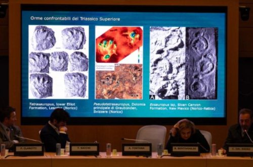 İtaliyada 200 milyon il yaşı olduğu güman edilən minlərlə dinozavr ayaq izi aşkar edilib