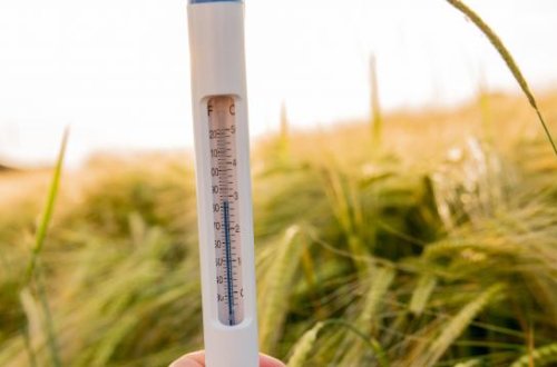 Qlobal temperatur 2025-ci ildə rekord həddə çatdı