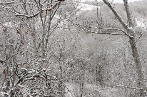 Bu ölkənin keçmiş baş naziri 15 il azadlıqdan məhrum edild edildi