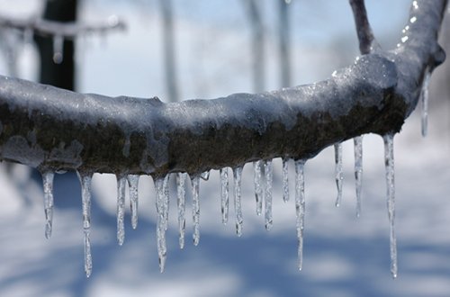 Sabah 10 dərəcə şaxta olacaq, yollar buz bağlayacaq