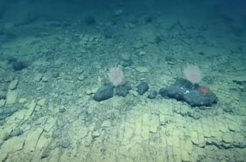 Sakit Okeanın dibində sarı kərpic yol tapılıb