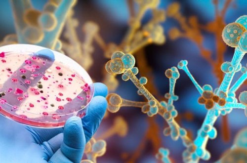 Braziliyanın həbsdə olan keçmiş prezidenti Bolsonaro xəstəxanaya yerləşdirilib