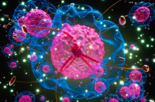 Ümumi qida konservantları xərçəng və diabetlə əlaqələndirilir