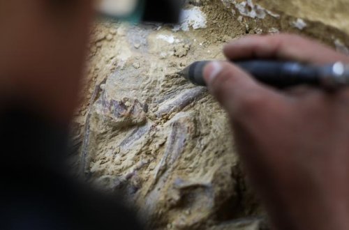 Mərakeşdə 773 min il əvvələ aid insan fosilləri tapılıb