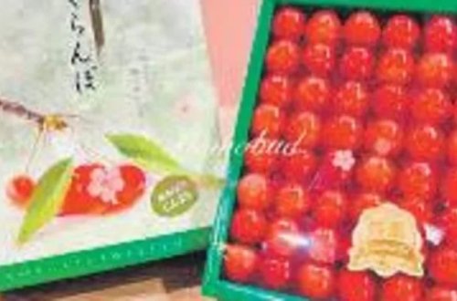 Yaponiyada ilin ilk albalısı rekord qiymətə satılıb