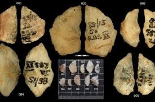 Cənubi Afrikada ən qədim zəhərli silahlar aşkarlanıb