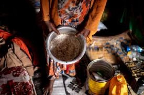 Alimlər bu il aclıq çəkəcək insanların sayını proqnozlaşdırıblar