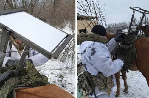 Rusiya ordusu internetə daxil olmaq üçün atlardan istifadə etməyə başlayıb