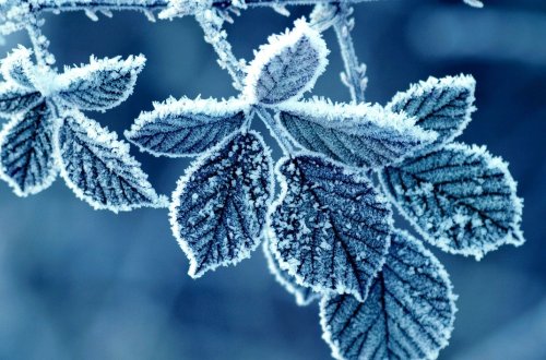 Xınalıq, Qrız, Qusar, Şahdağda qar yağır - FAKTİKİ HAVA