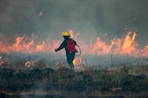 Argentinanın Pataqoniya bölgəsində meşə yanğınları baş verib