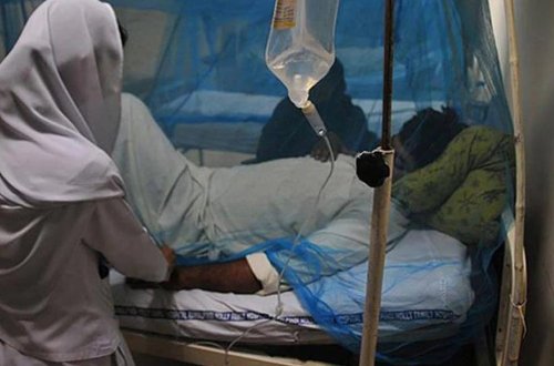 Hindistanda Nipah virusu xəbərdarlığı