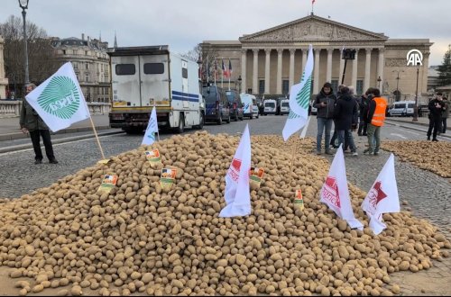 Fransız fermerlər Milli Assambleyanın qarşısına 30 ton kartof atıblar