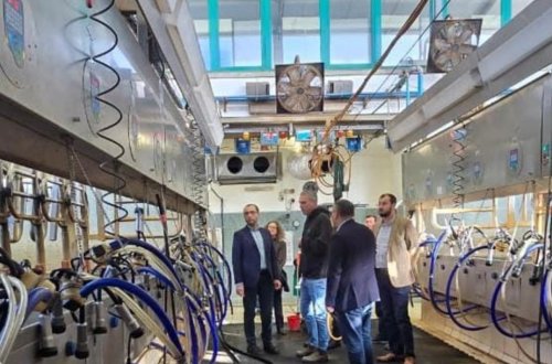 Azərbaycan və İsrail birgə süni mayalanma mərkəzi yarada bilər