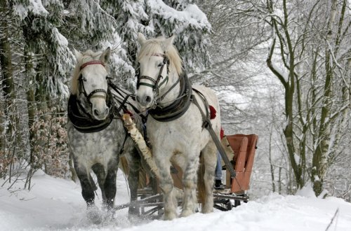 Qar yağacaq, 20 dərəcə şaxta olacaq