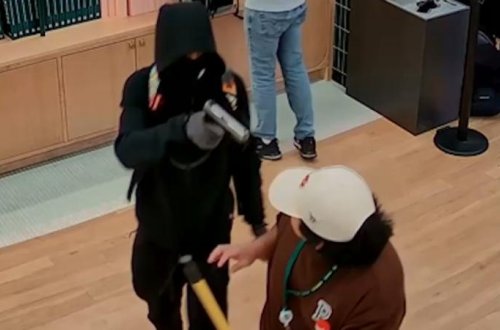 Pokemon mağazasından 100.000 dollarlıq kolleksiya oğurlanıb