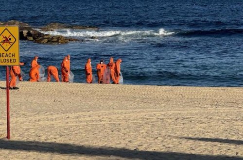 Avstraliyanın Sidney şəhərində köpək balıqları iki uşağa hücum edib