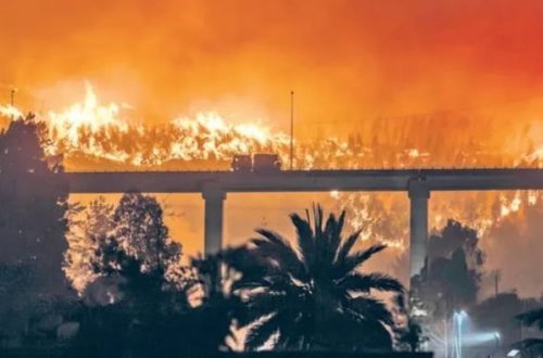 Çilidə meşə yanğınları 18 nəfərin həyatına son qoyub