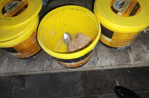 Ət qutabında at DNT-si aşkarlandı - FOTOLAR - VİDEO