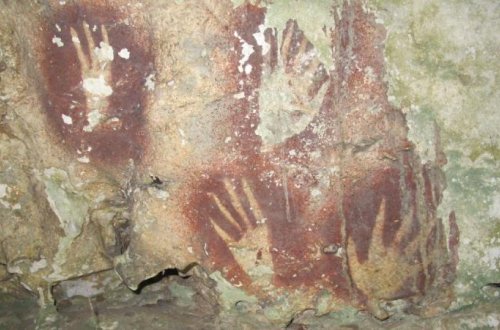 Bəşər tarixində ən qədim sənət əsəri İndoneziyada tapılıb