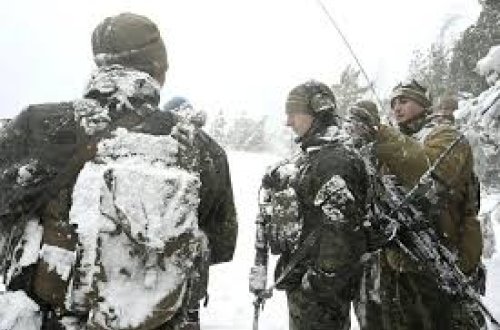 Finlandiyada xeyli hərbçi güclü donvurma xəsarətləri alıblar