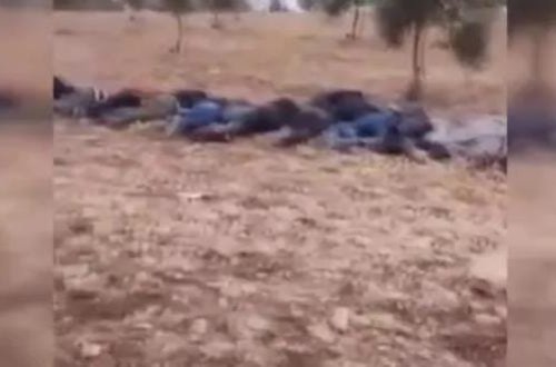 YPG terrorçuları dinc əhalini qırıb, cəsədlərini bir-bir saydı