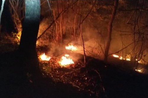 Avstraliyada davam edən meşə yanğınlarından sonra əhalinin təxliyəsi tələb olunub