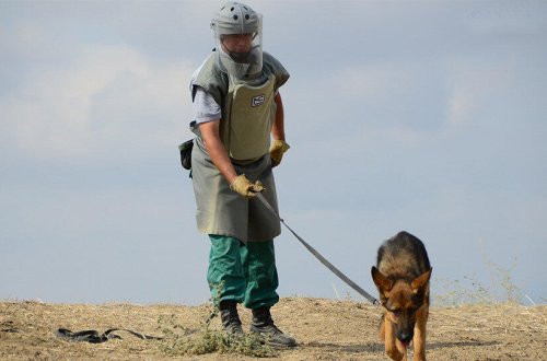 ANAMA-nın əməkdaşı iynədən şoka düşüb öldü - FOTO