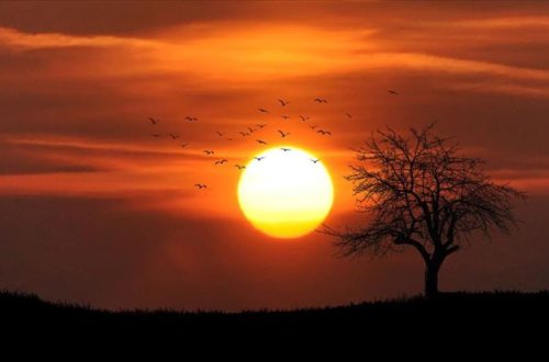 Avstraliyada isti dalğası termometrlərin rekord səviyyəyə çatmasına səbəb olub