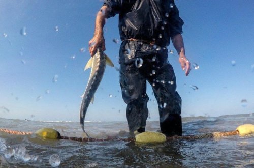 Balıq ovlamaq istədi suya düşdü boğuldu