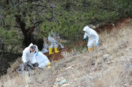 6 gündür itkin düşən adamın cəsədi parçalanmış vəziyyətdə tapılıb