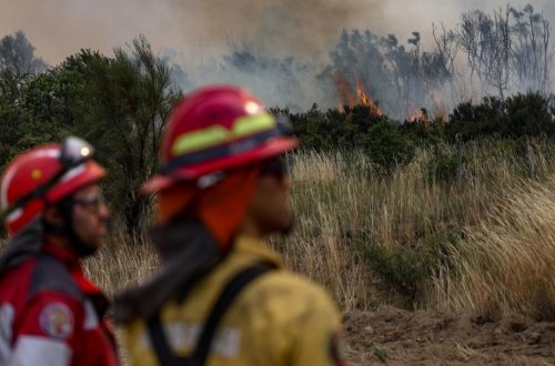 Argentinada meşə yanğınları ilə mübarizə davam edir