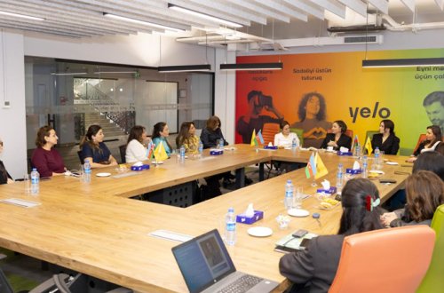 Yelo Bank-da səhiyyə sahəsində çalışan qadın sahibkarlar üçün netvörkinq görüşü təşkil edildi