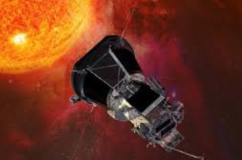 Tarixdə ilk dəfə kosmosda kəpənək sürfədən çıxdı