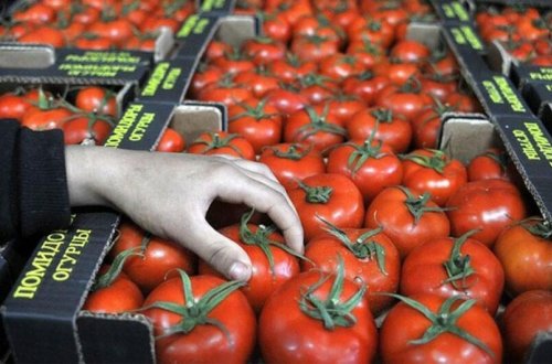 Pomidor indi yaydakından ucuzdur - SƏBƏB