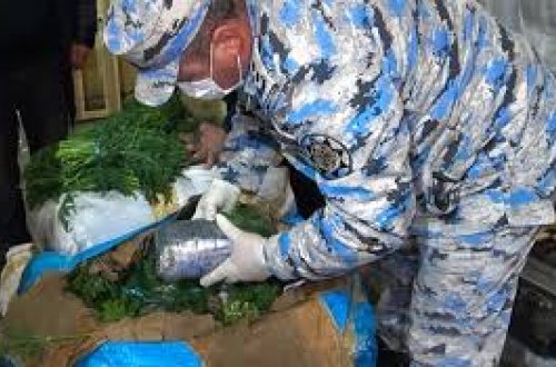 Göyərti adı ilə ölkəyə külli miqdarda narkotik keçirmək istədilər