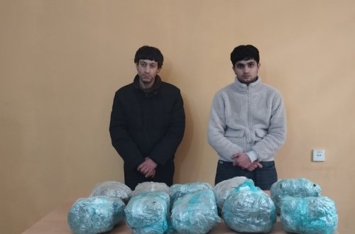 Narkotik vasitənin ölkə ərazisinə keçirilməsinin qarşısı alındı