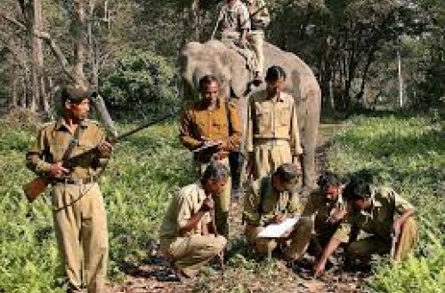 Hindistan sakini naməlum yırtıcının qurbanı oldu